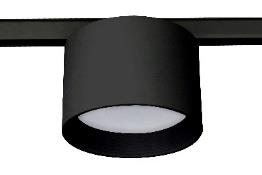 DA-BLACKBIRCH - Image 3